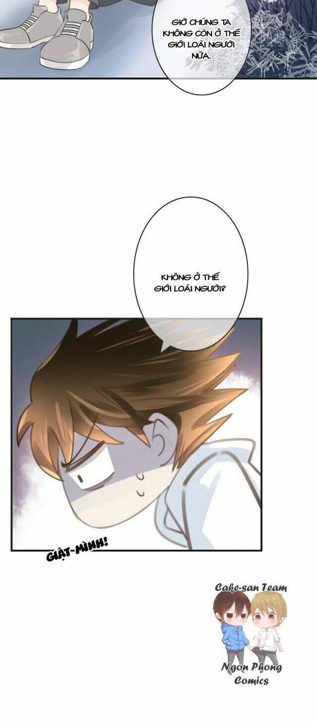 page_14.jpg