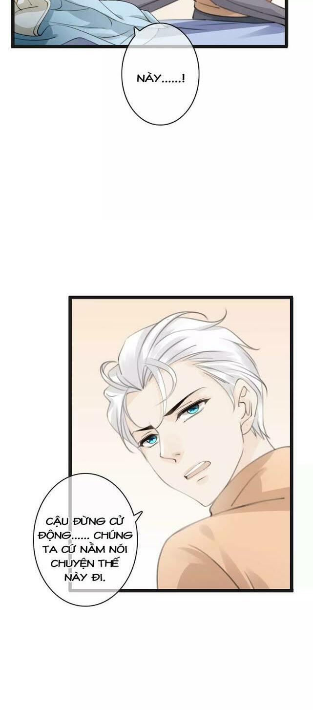 page_22.jpg