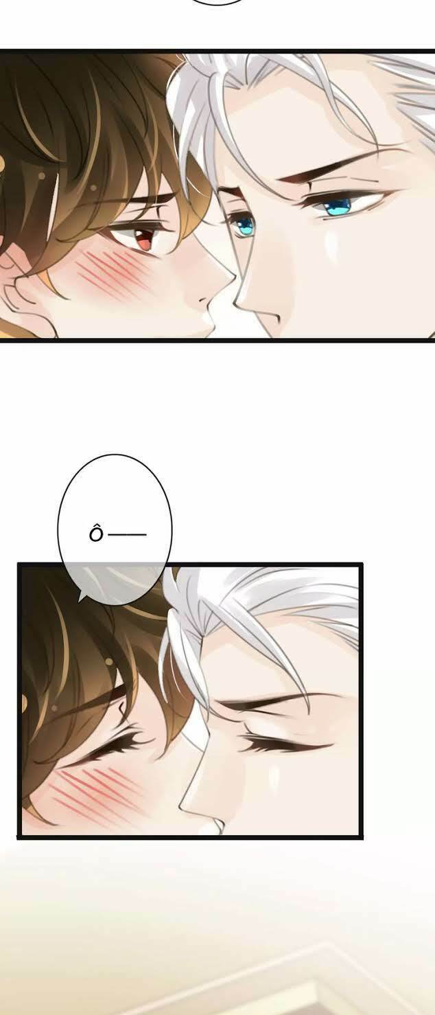 page_33.jpg
