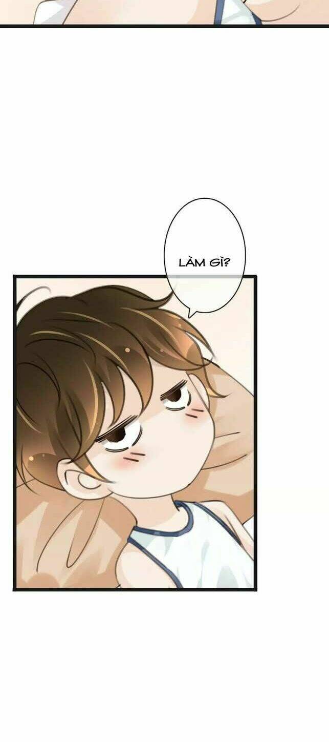 page_29.jpg