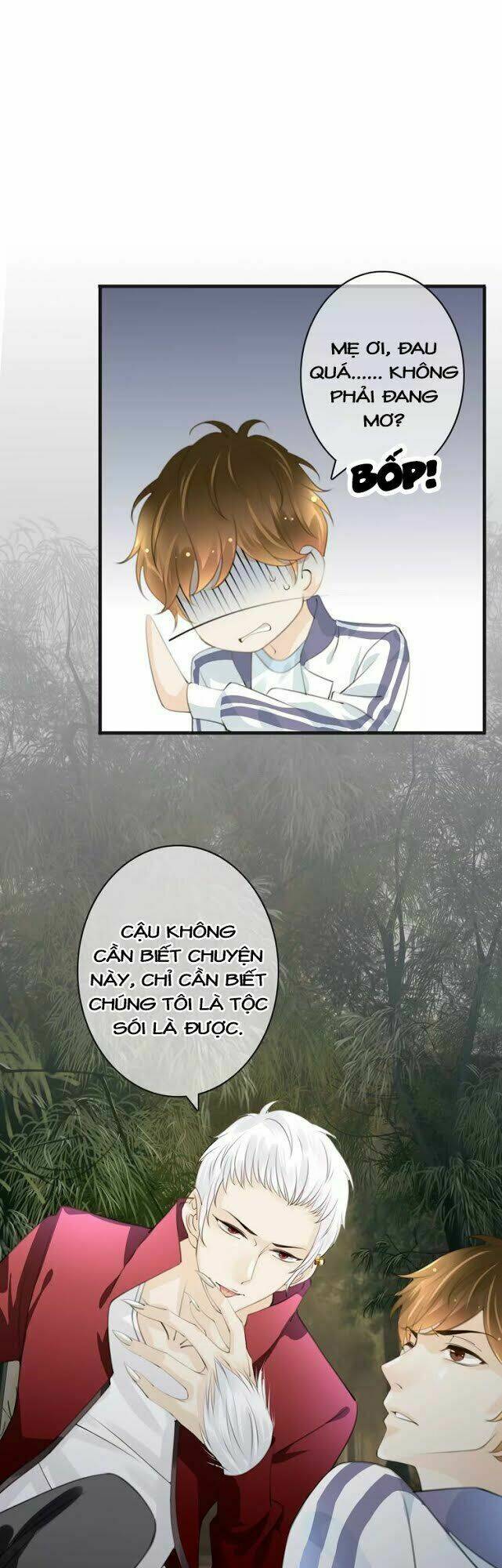 page_16.jpg