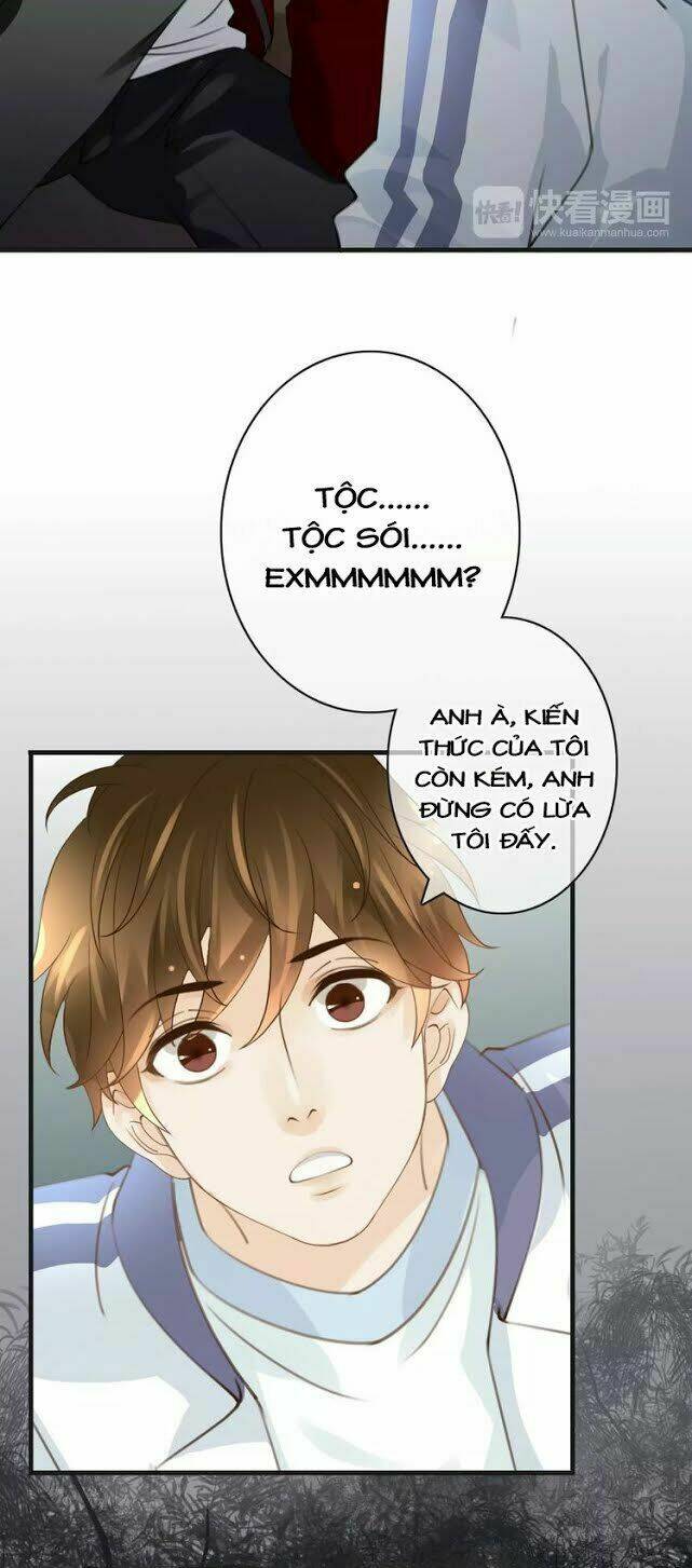 page_17.jpg
