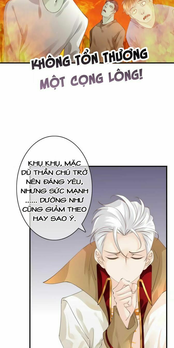 page_20.jpg
