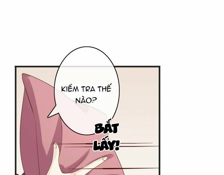 page_20.jpg