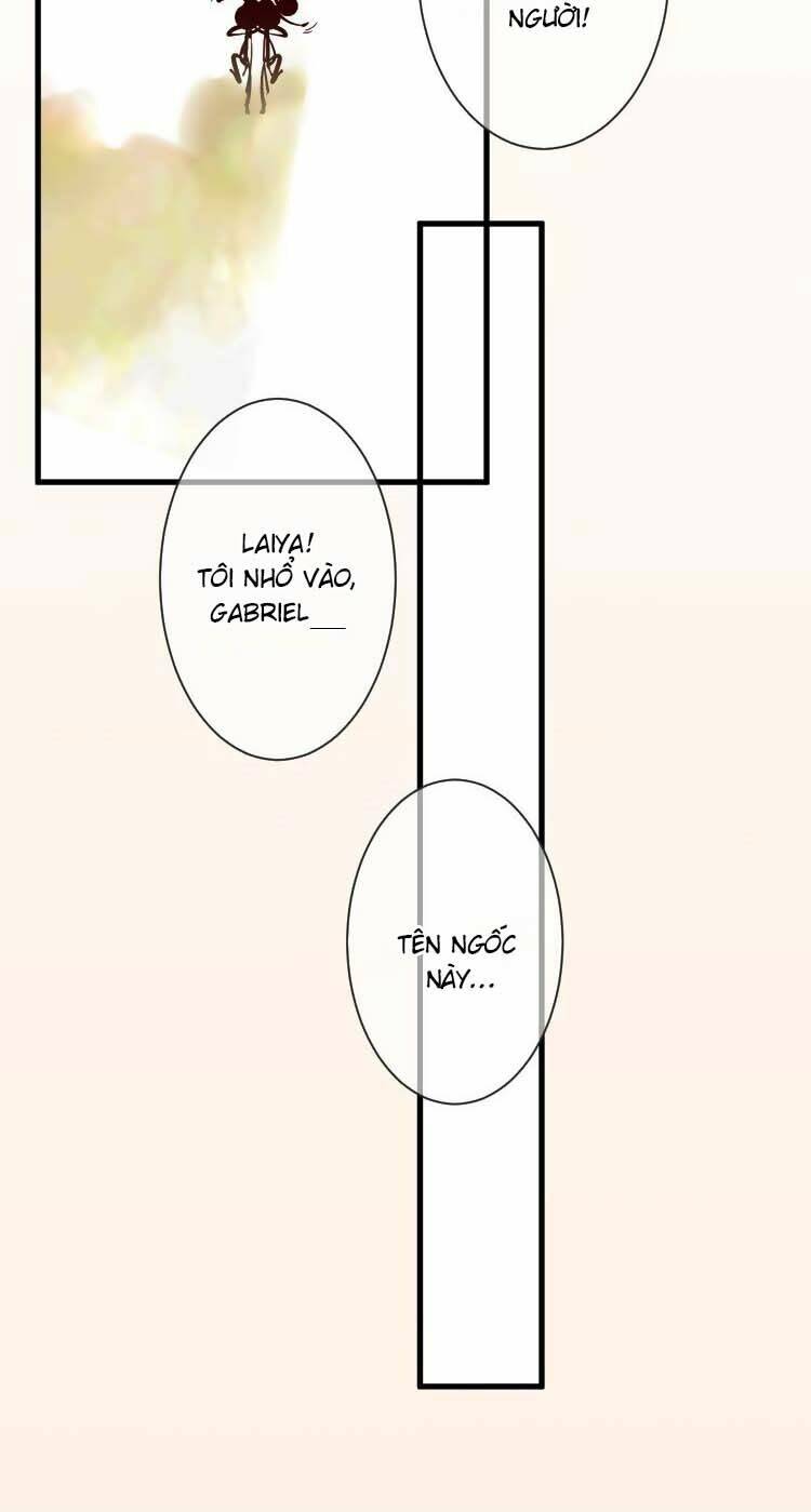 page_20.jpg
