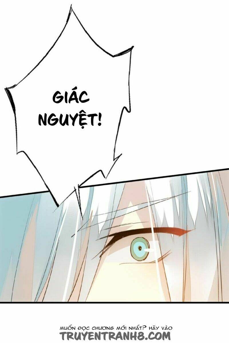 page_19.jpg