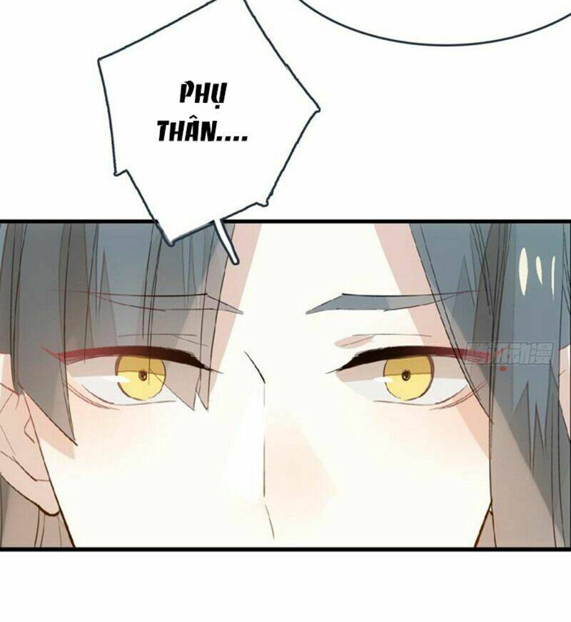 page_27.jpg