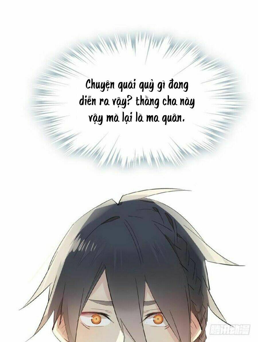 page_24.jpg