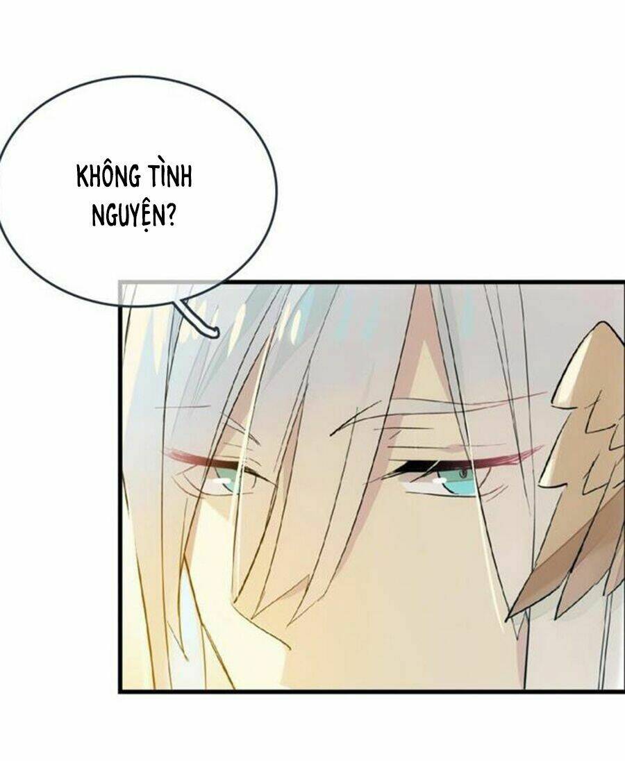 page_16.jpg