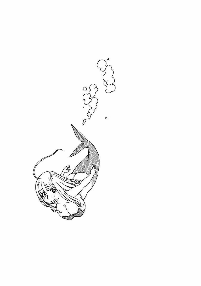 page_25.jpg