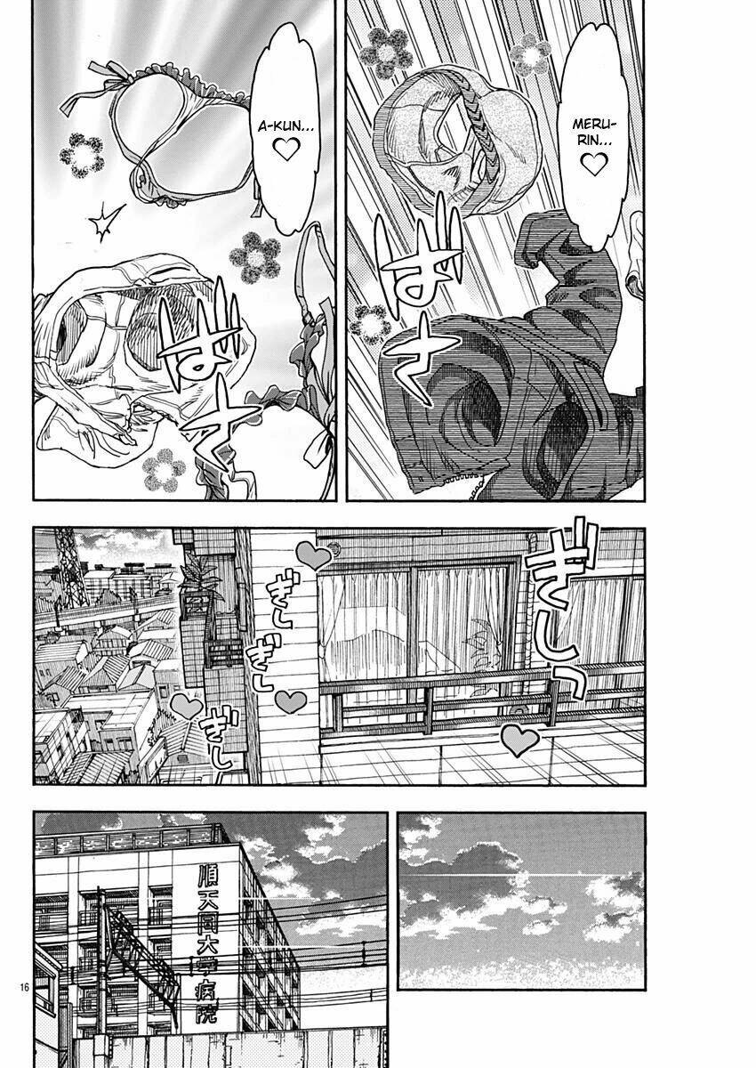 page_16.jpg