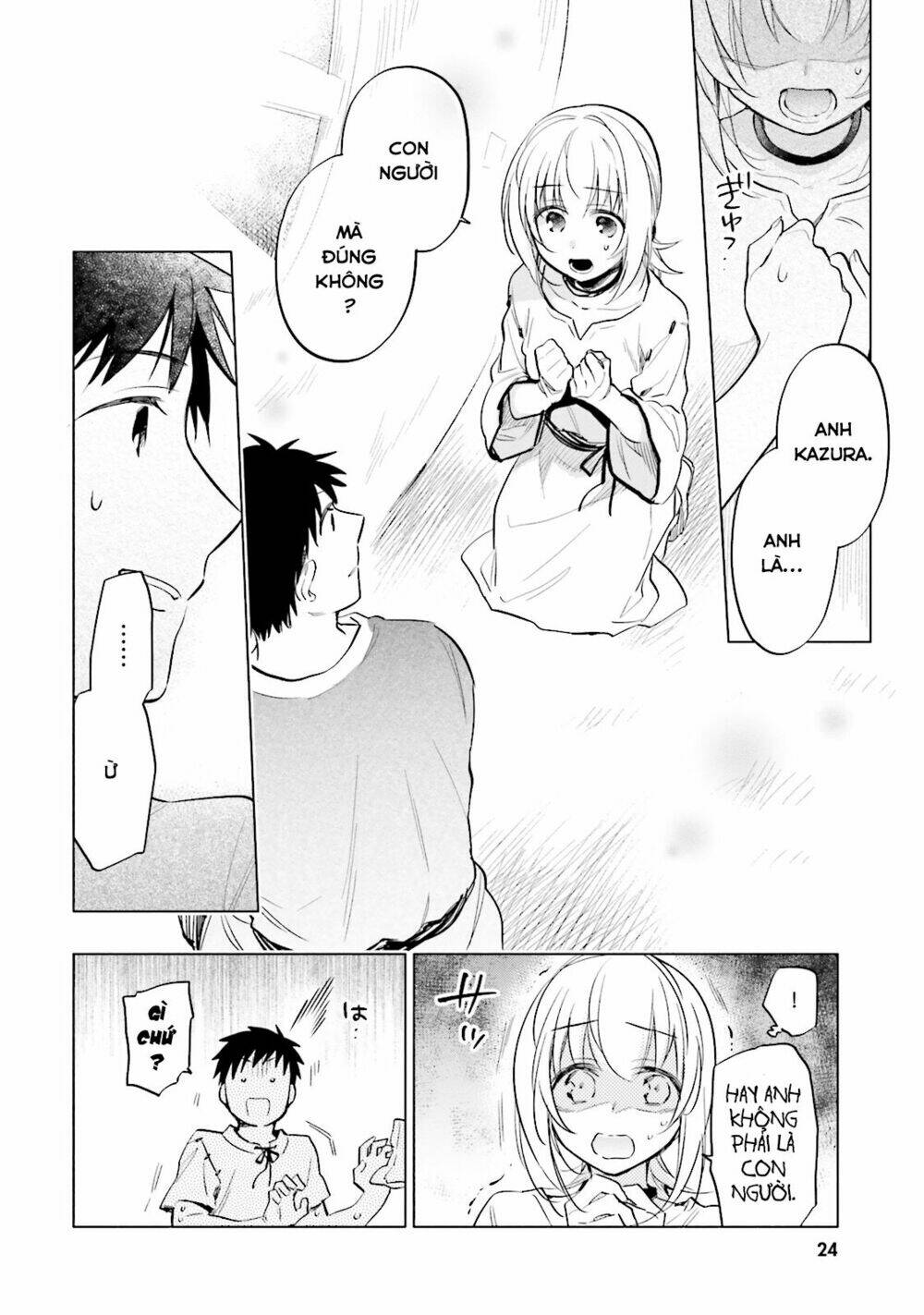 page_27.jpg
