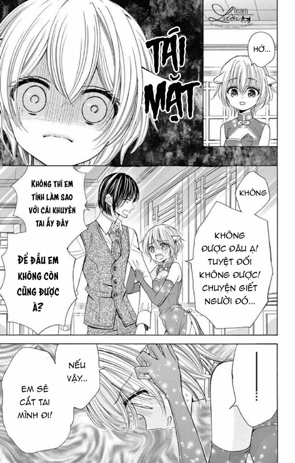 page_19.jpg