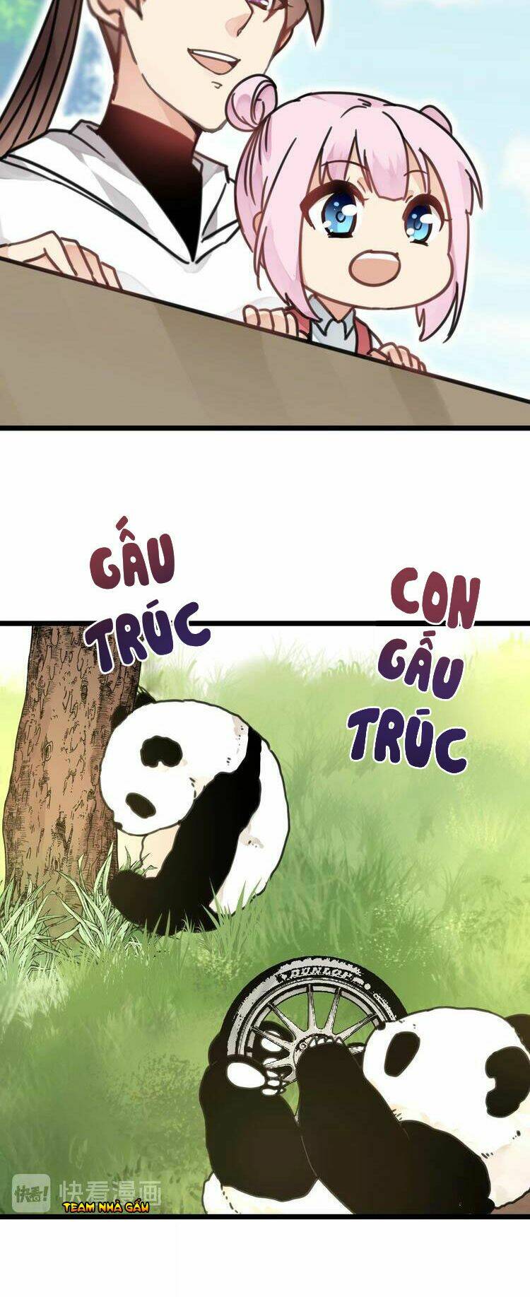 page_11.jpg
