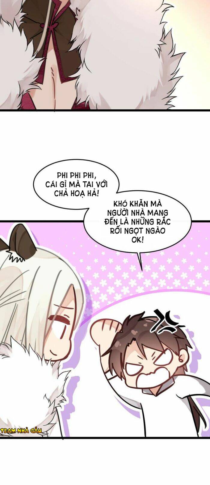 page_17.jpg