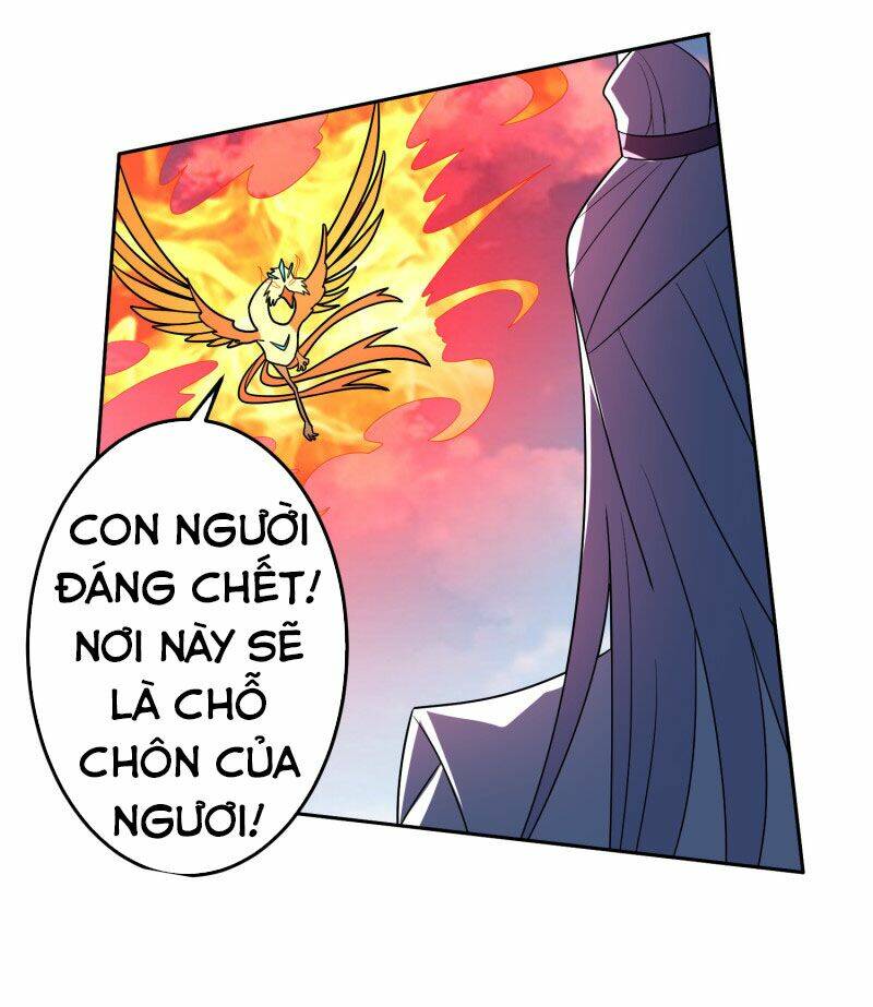 page_14.jpg