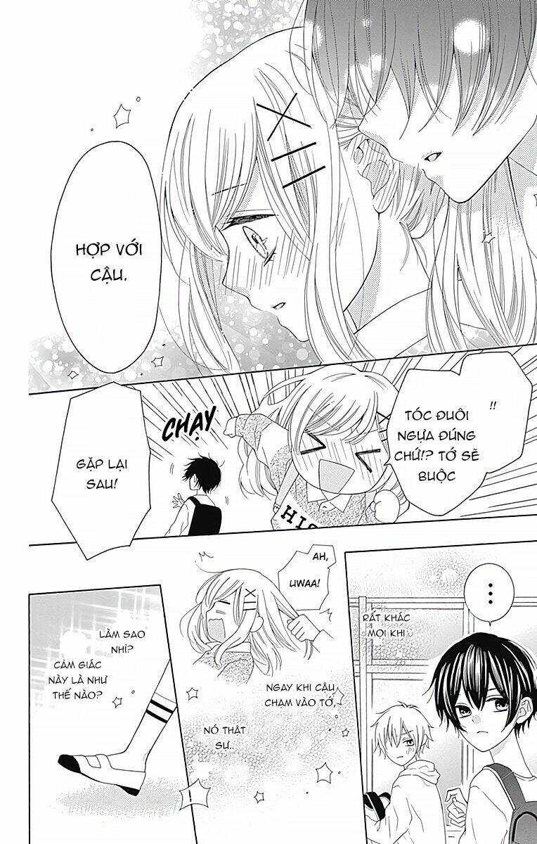 page_29.jpg