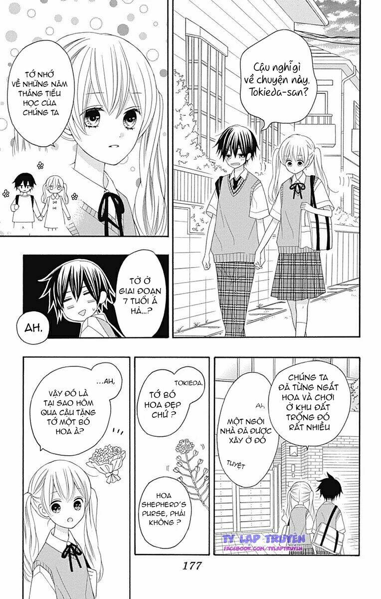 page_19.jpg