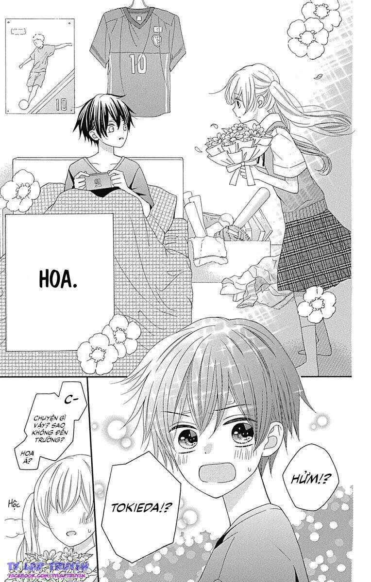 page_29.jpg