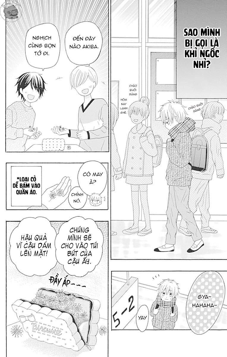 page_11.jpg