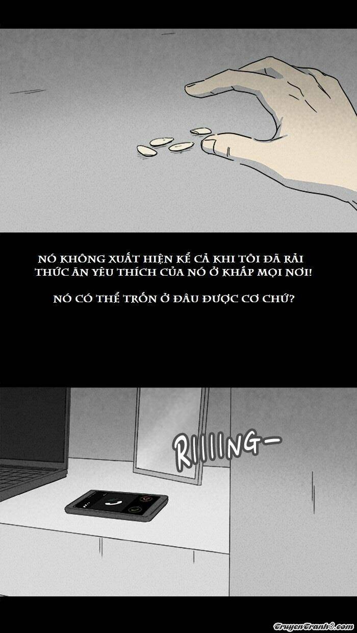 page_8.jpg
