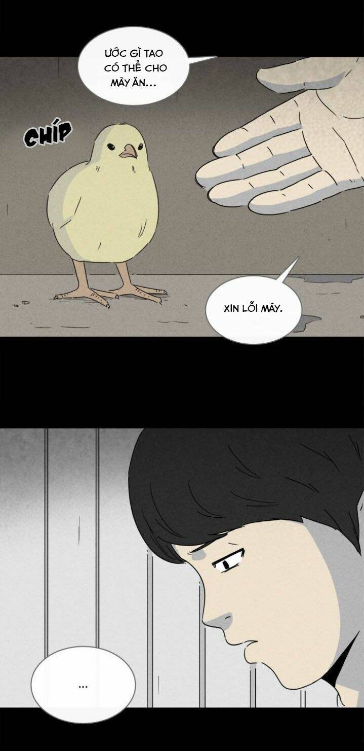 page_11.jpg
