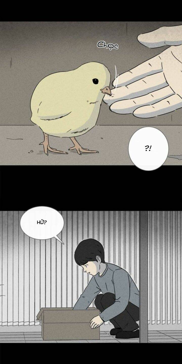 page_12.jpg