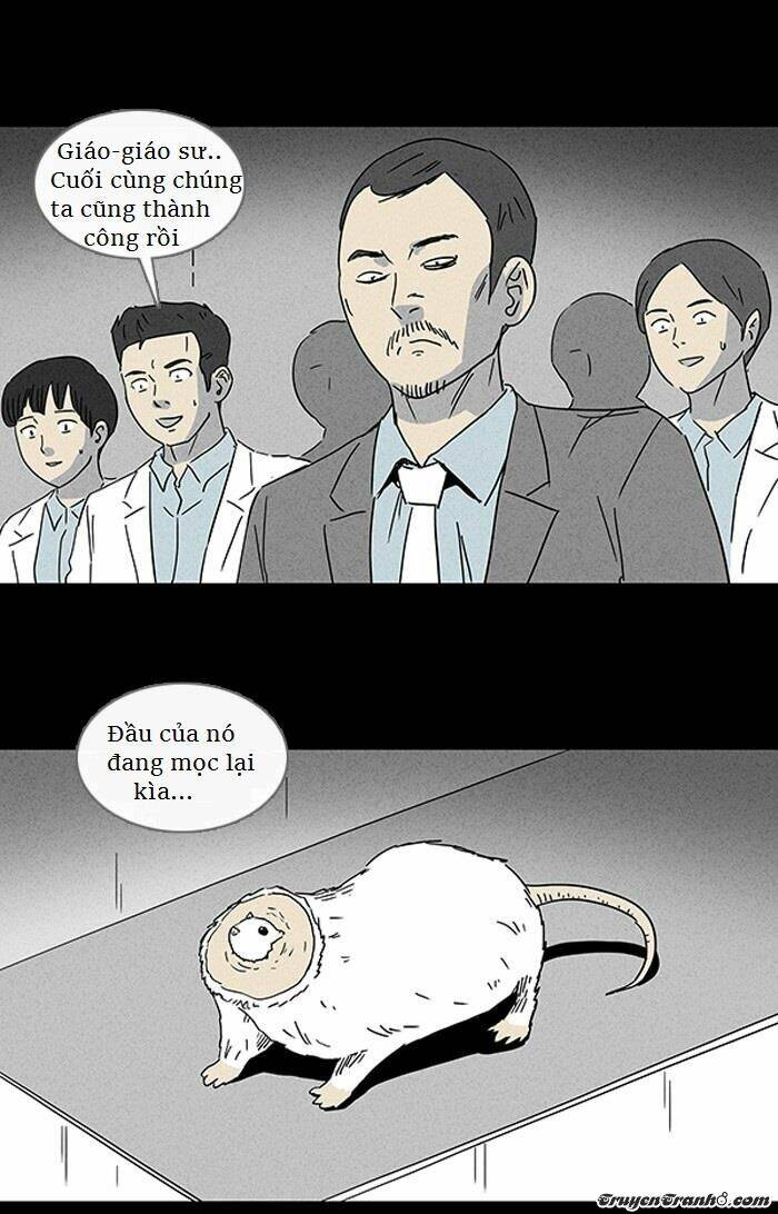 page_8.jpg