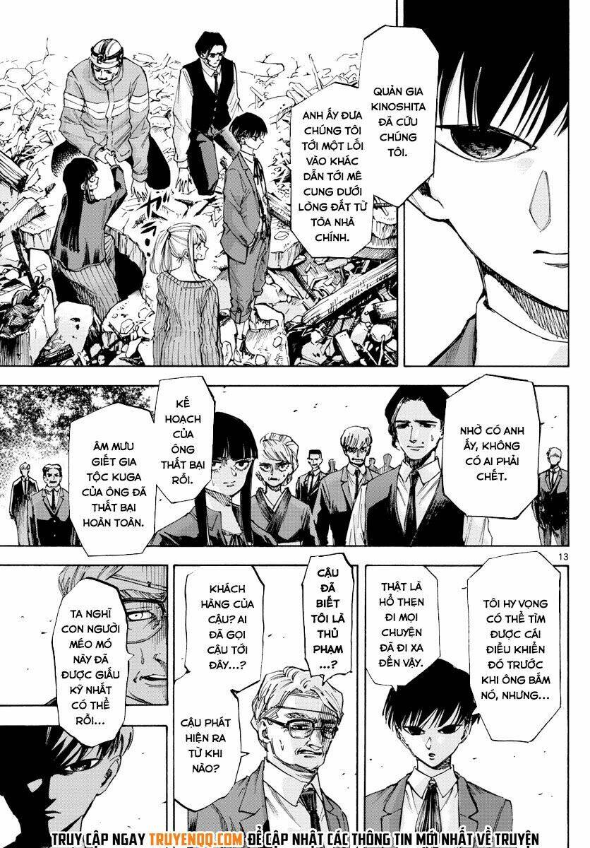 page_13.jpg