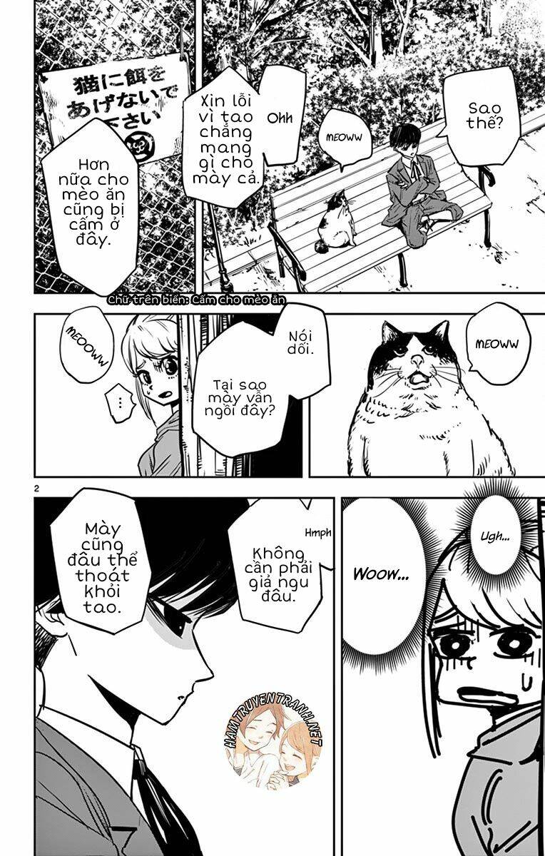 page_7.jpg