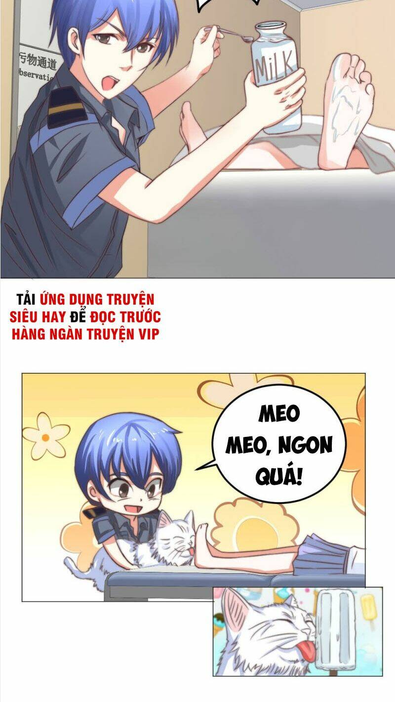 page_23.jpg