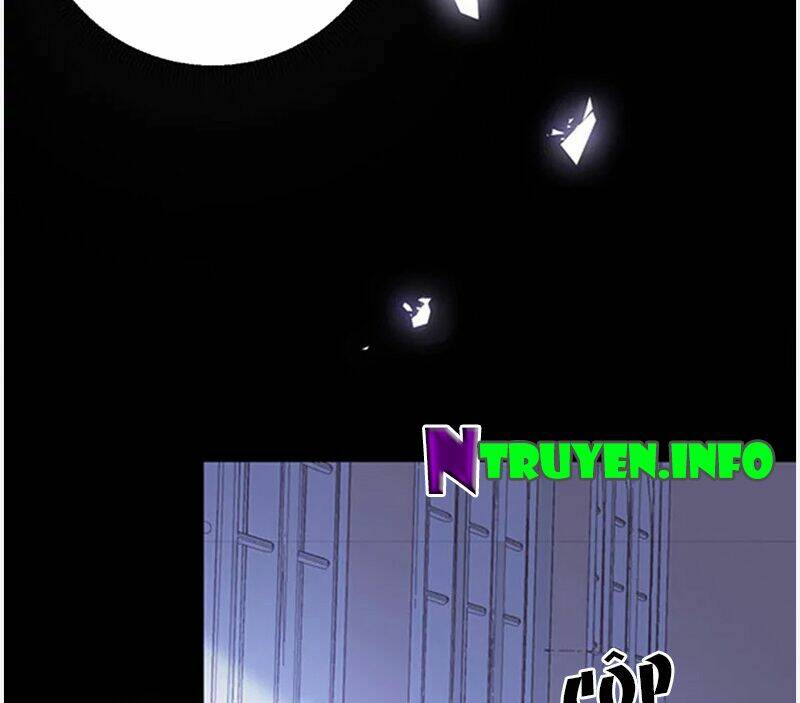 page_27.jpg