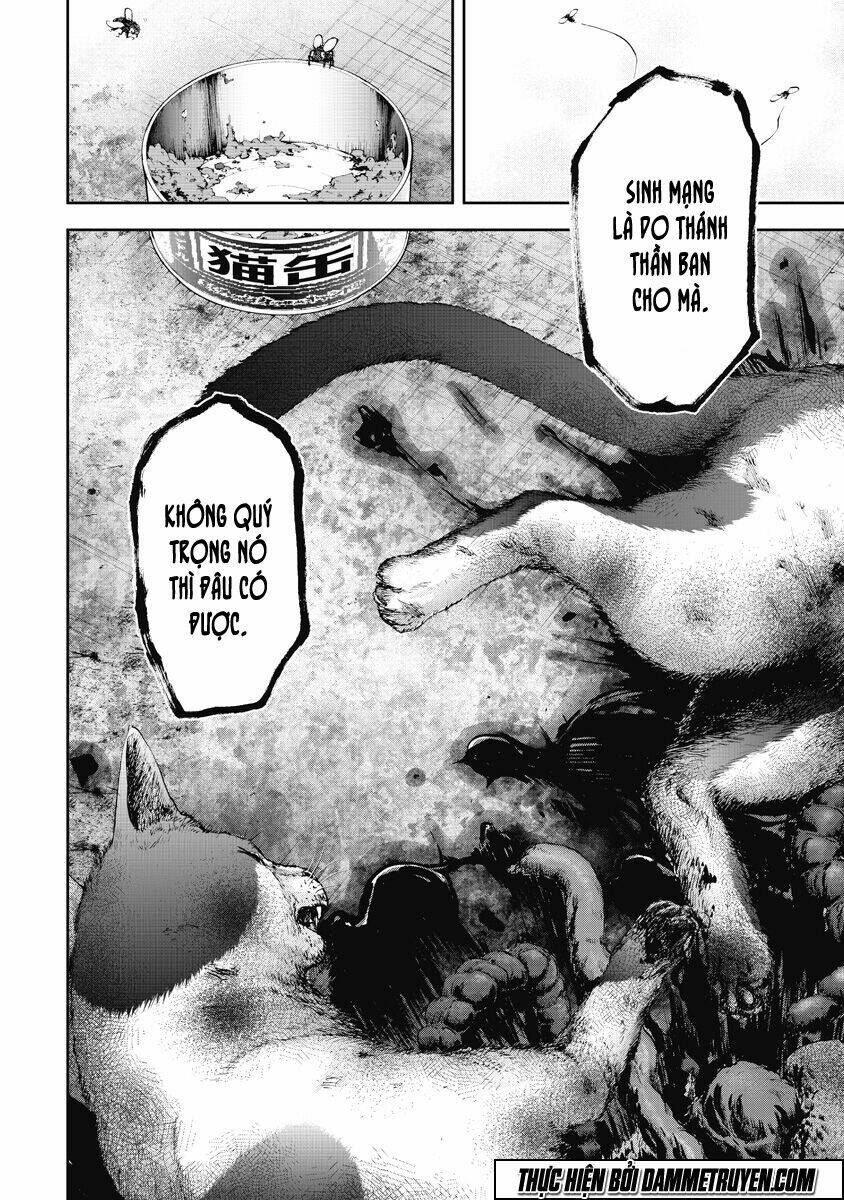page_24.jpg