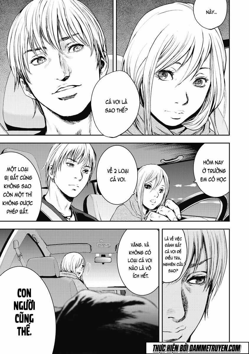 page_23.jpg