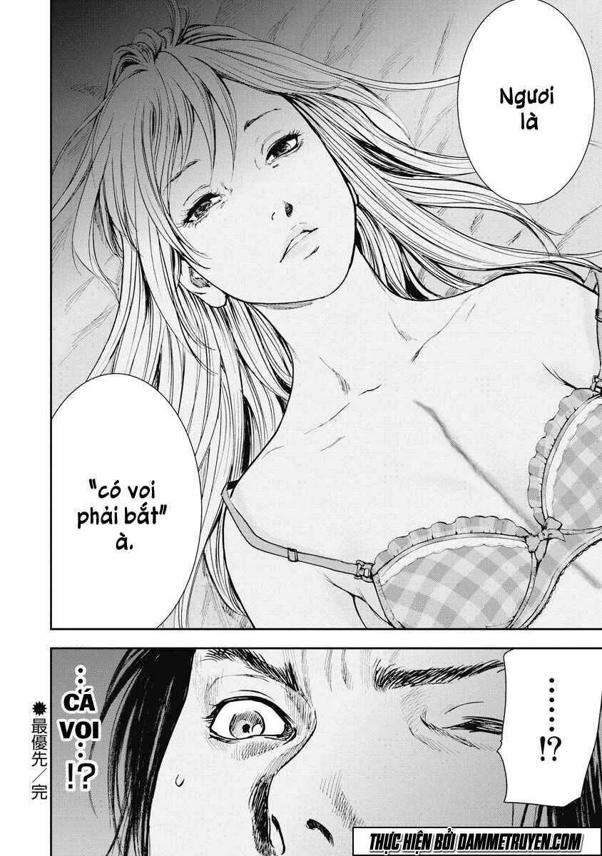 page_20.jpg