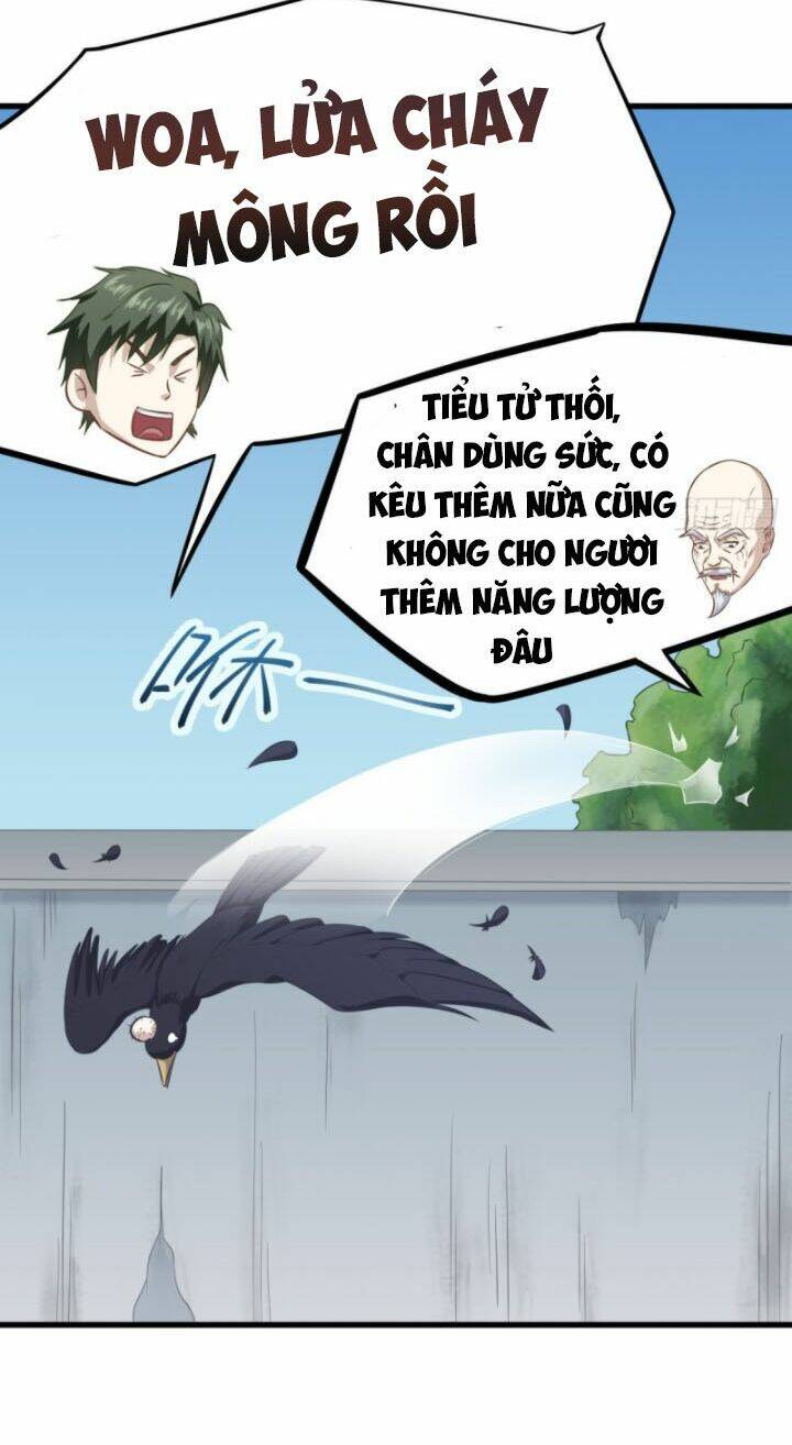 page_14.jpg