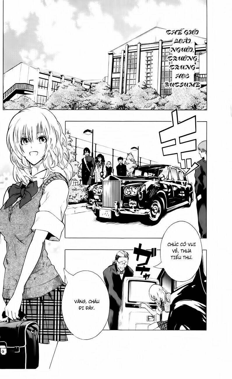 page_11.jpg