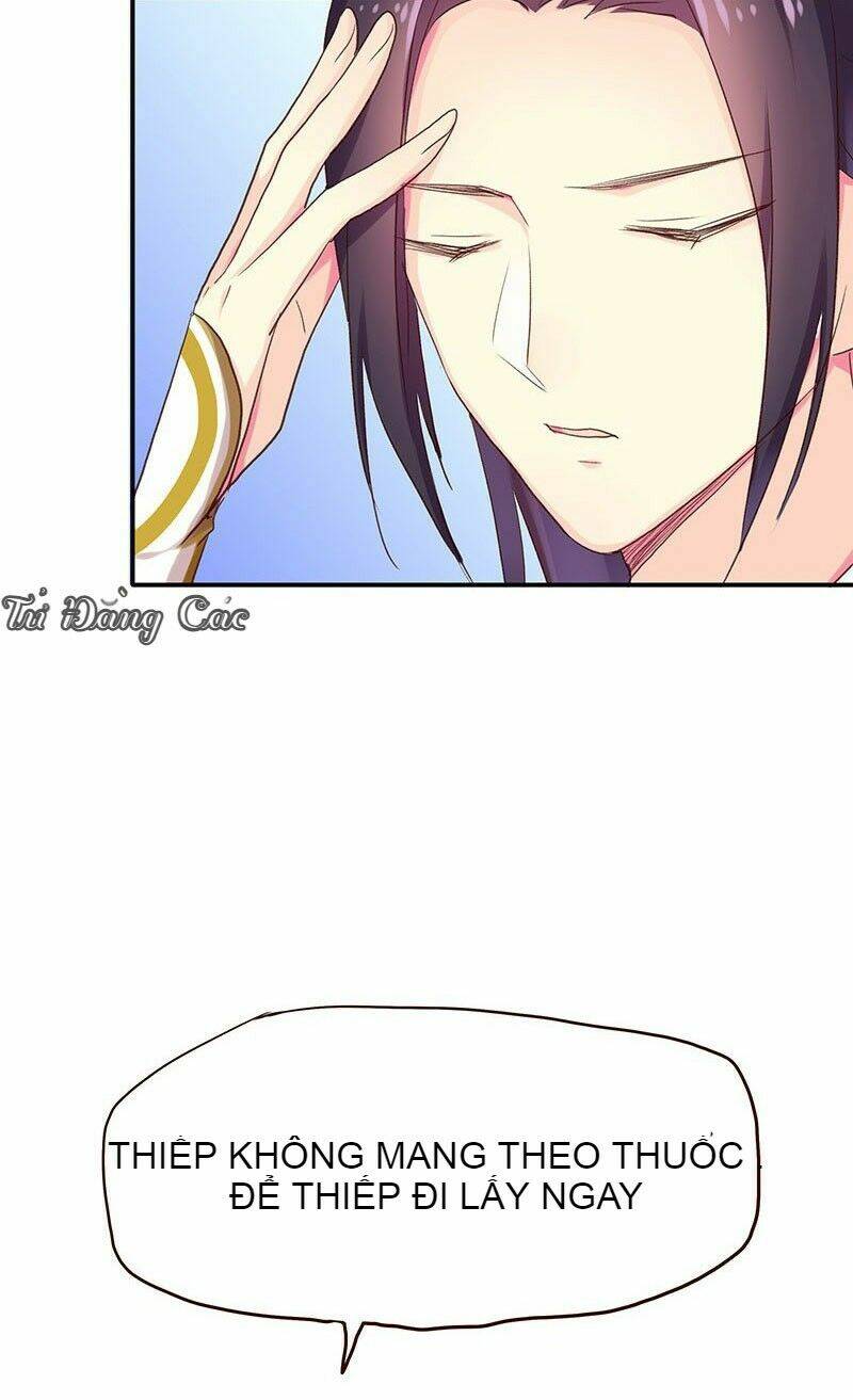 page_24.jpg