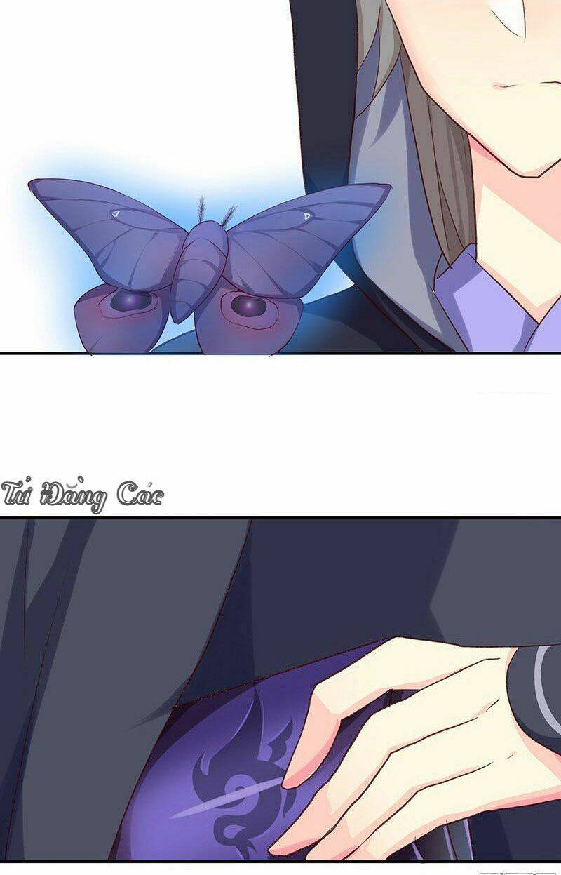 page_17.jpg