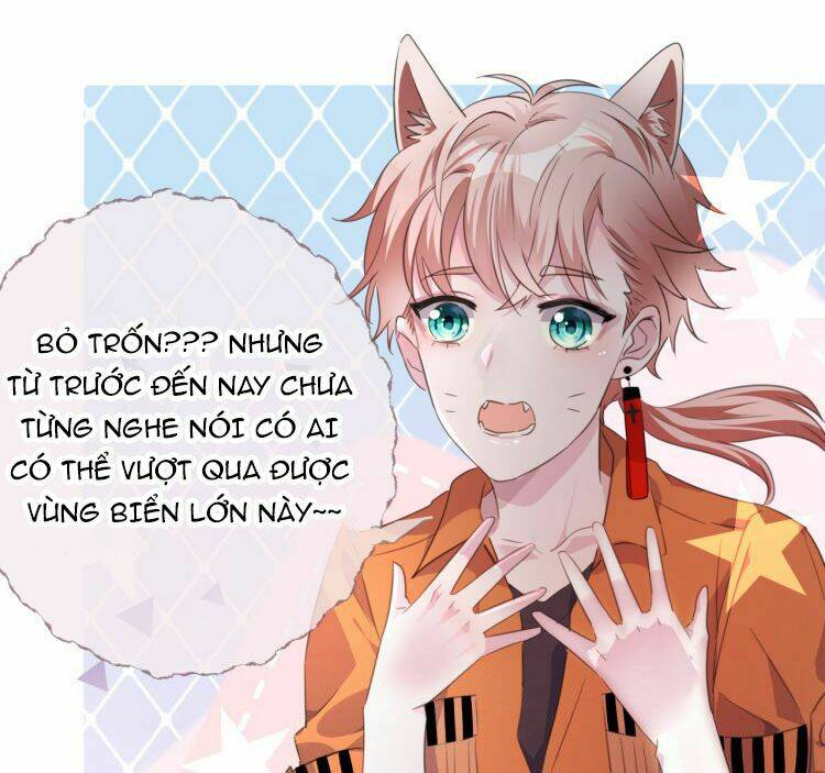 page_21.jpg