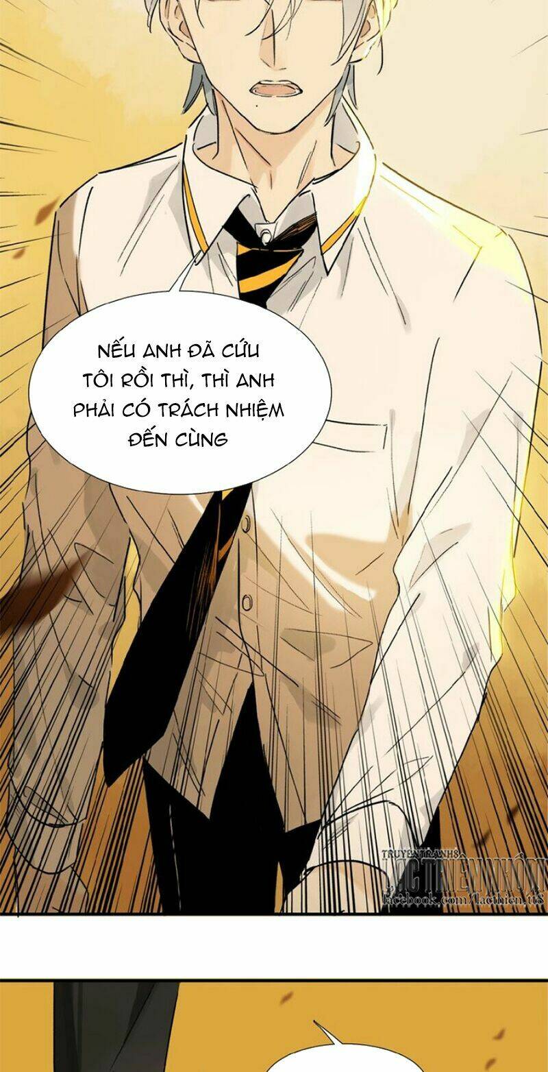 page_13.jpg