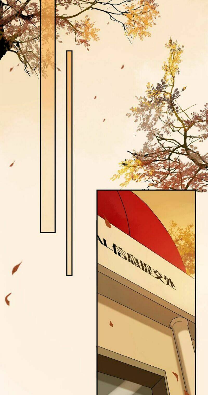 page_24.jpg