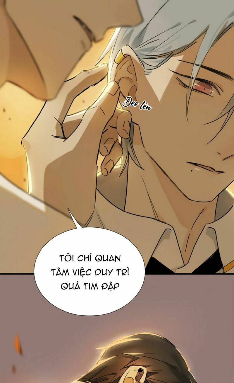 page_29.jpg
