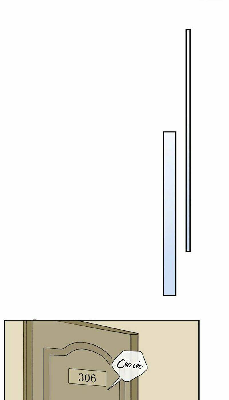 page_19.jpg