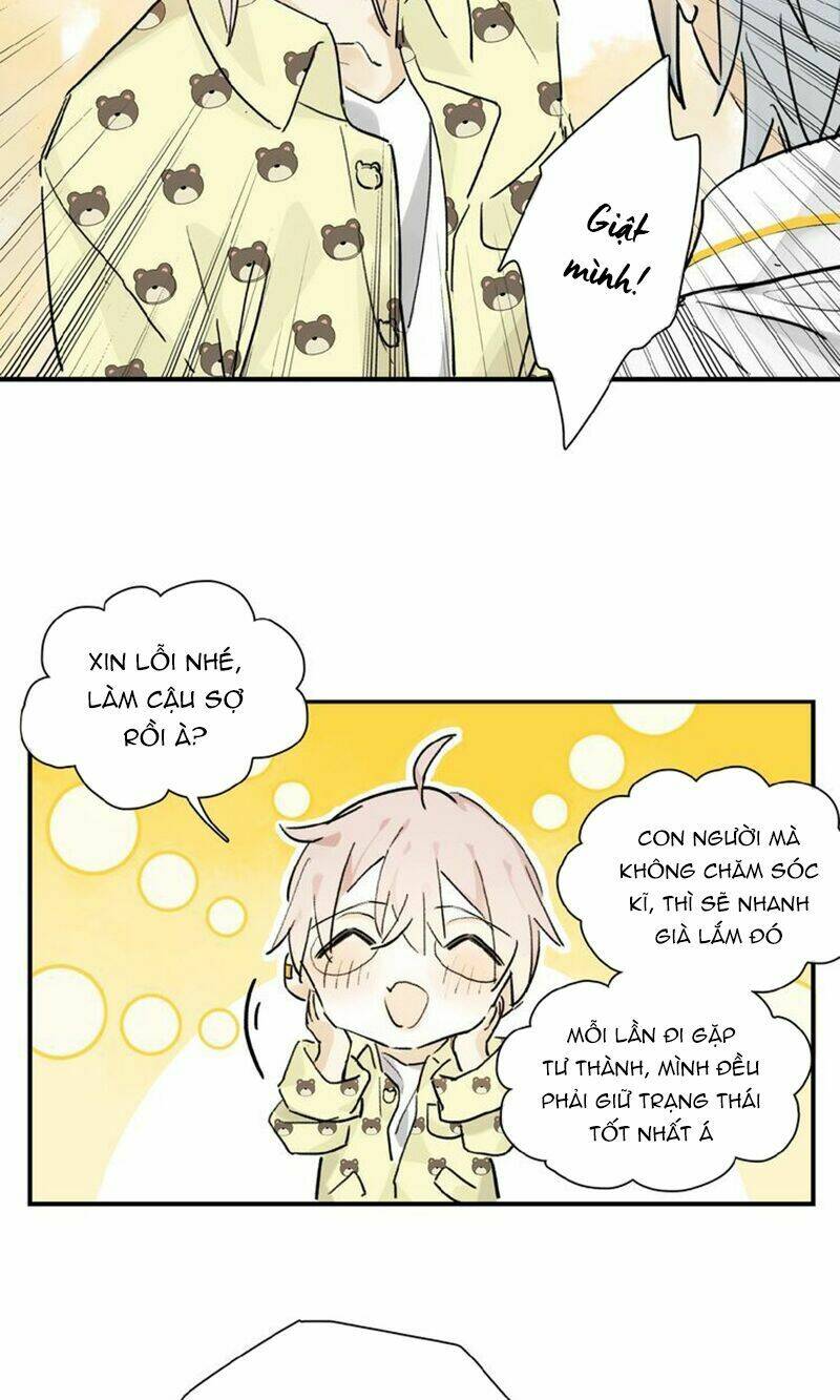 page_21.jpg