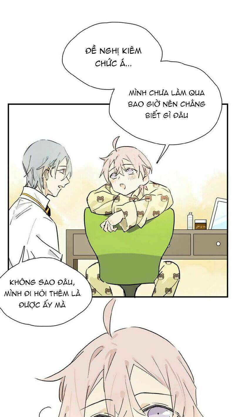 page_23.jpg