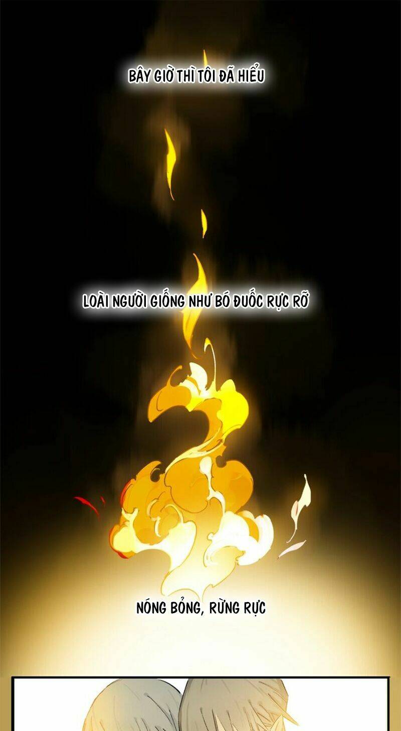 page_16.jpg