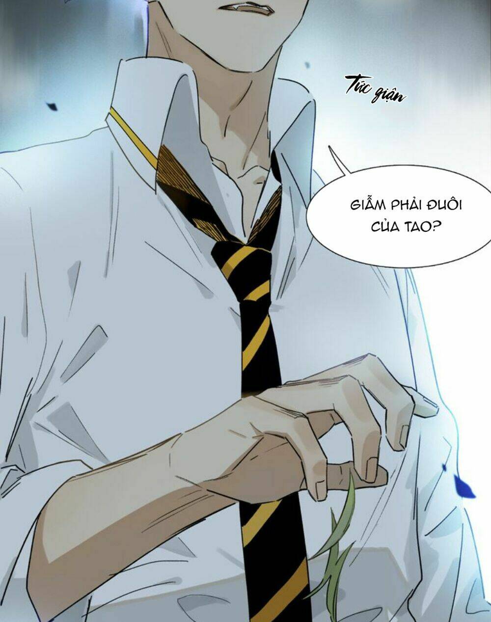 page_15.jpg