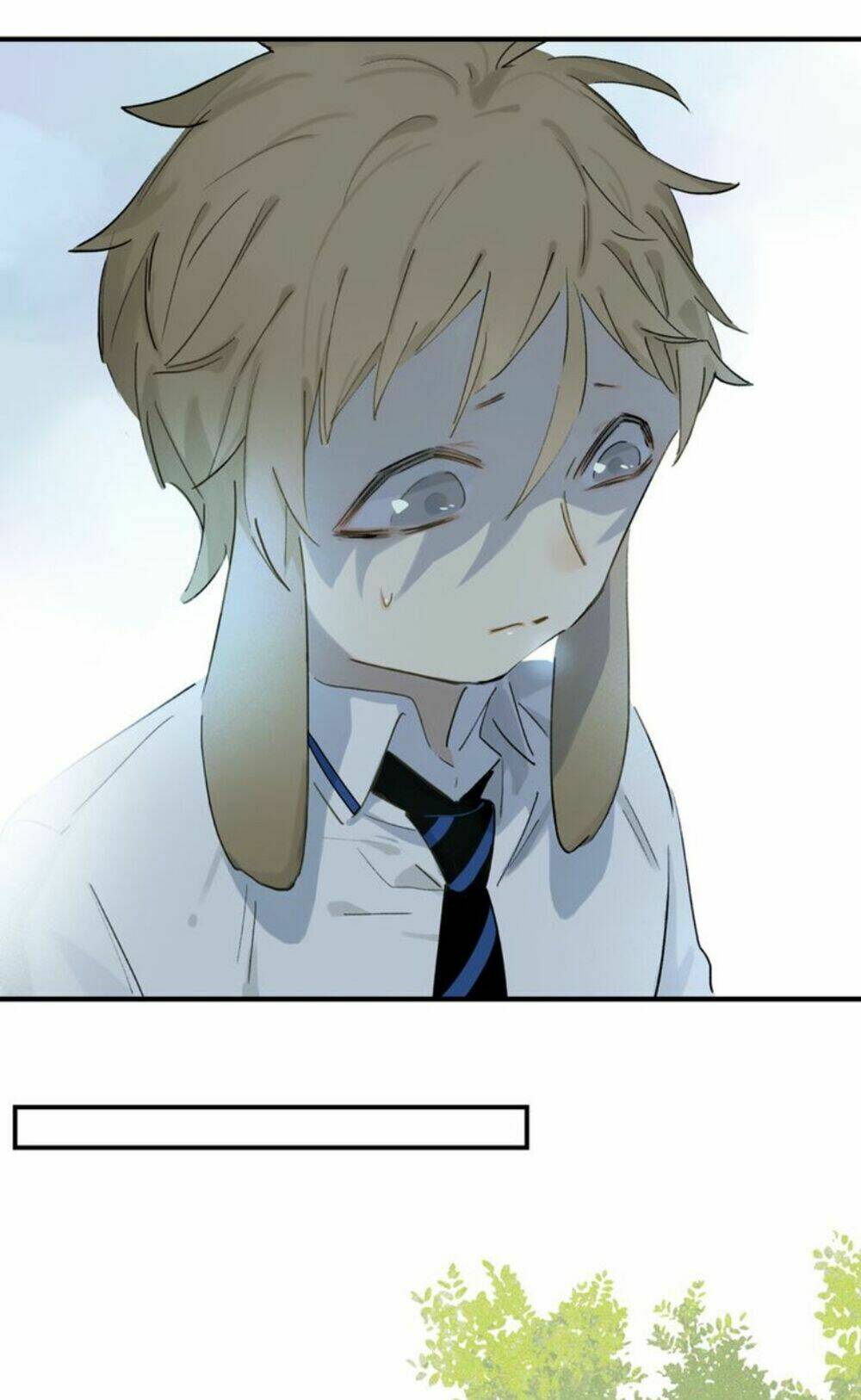 page_19.jpg