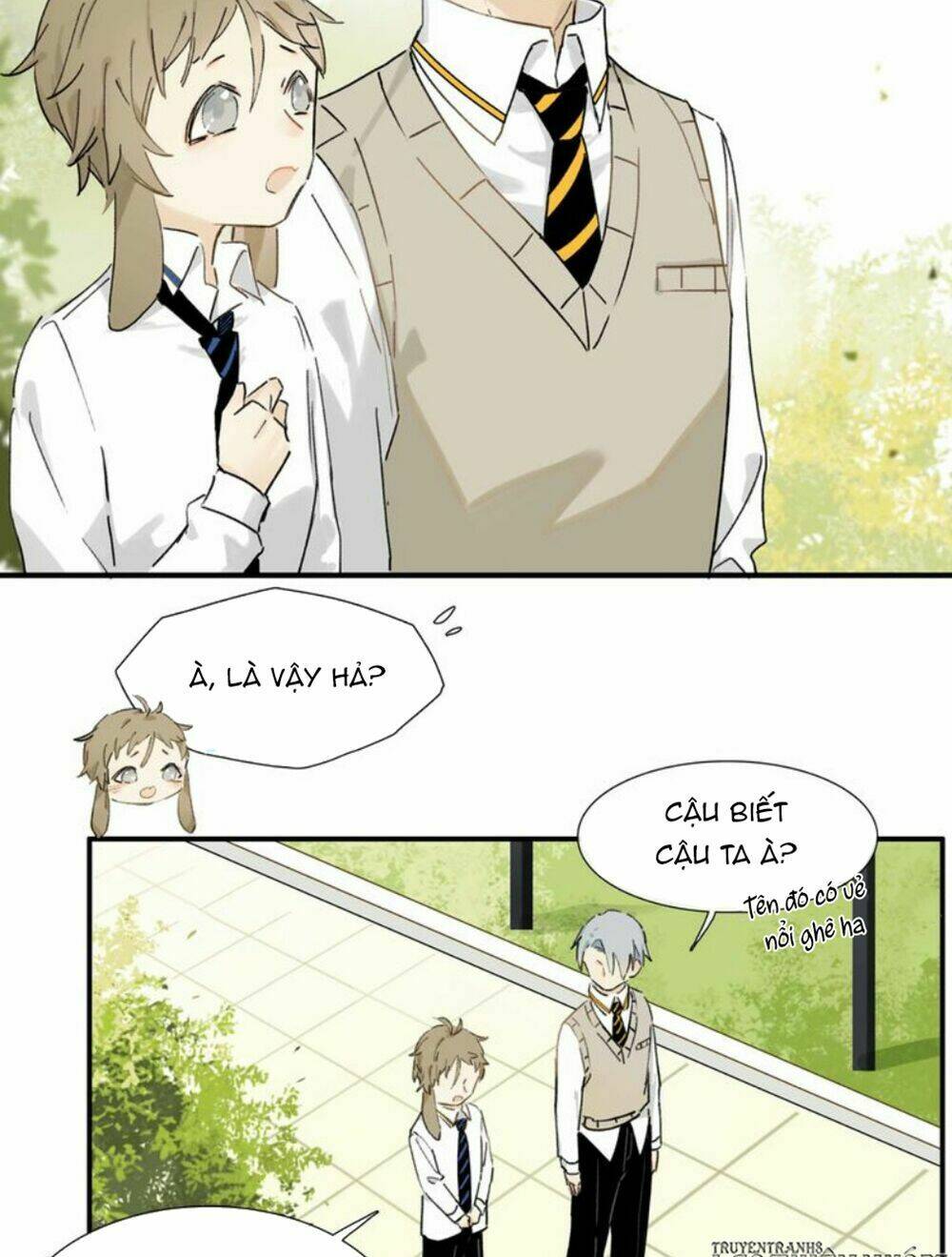 page_21.jpg